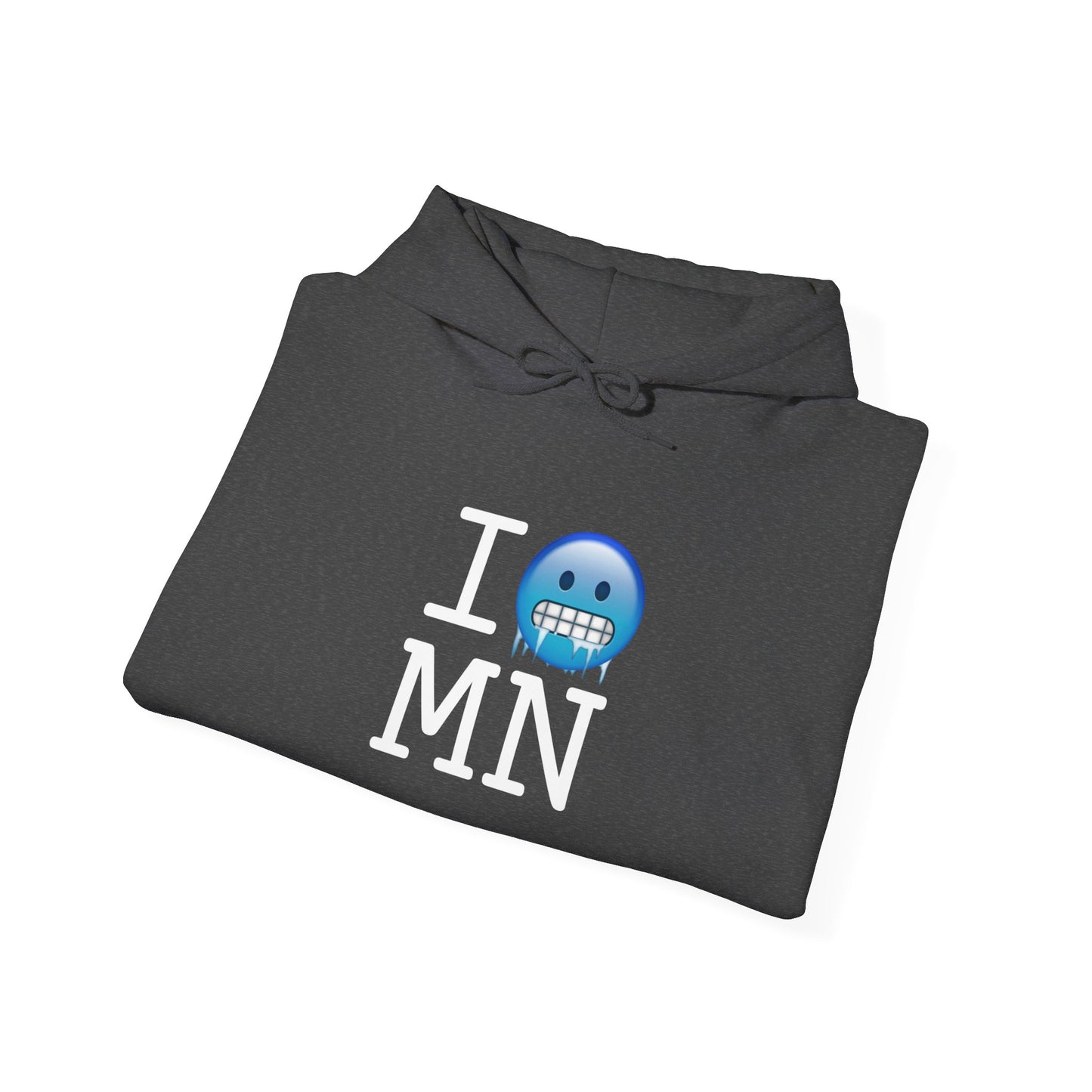 "I'm Cold in Minnesota" Hoodie