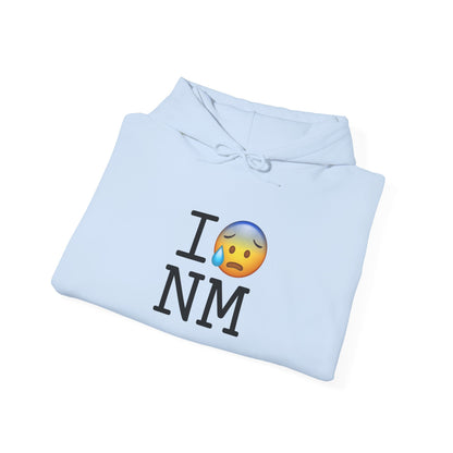 "I'm Anxiously Sweating in New Mexico" Hoodie