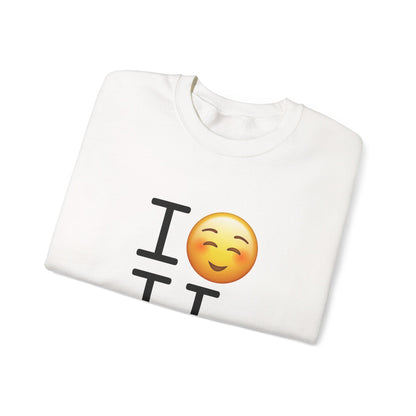 "I Blush at Illinois" Sweatshirt