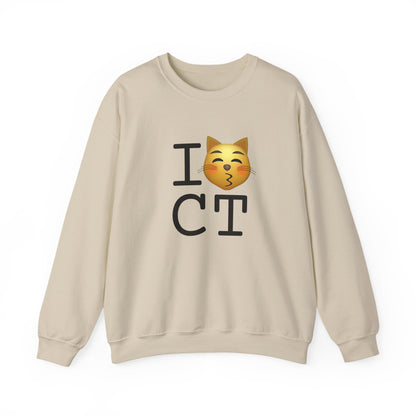 "I'm a Kissing Cat toward Connecticut" Sweatshirt