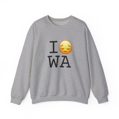 "I'm Depressed about Washington" Sweatshirt