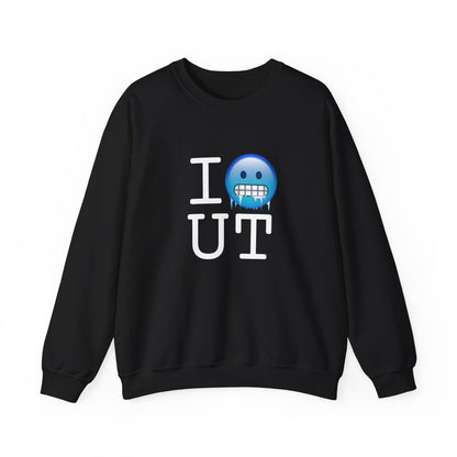 "I'm Cold in Utah" Sweatshirt