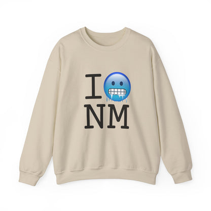 "I'm Cold in New Mexico" Sweatshirt