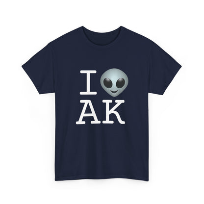 "I Feel Alien in Alaska" Tee