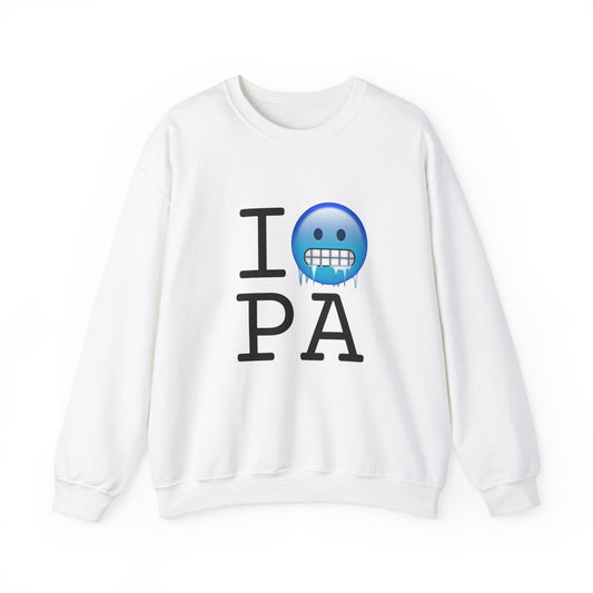 "I'm Cold in Pennsylvania" Sweatshirt