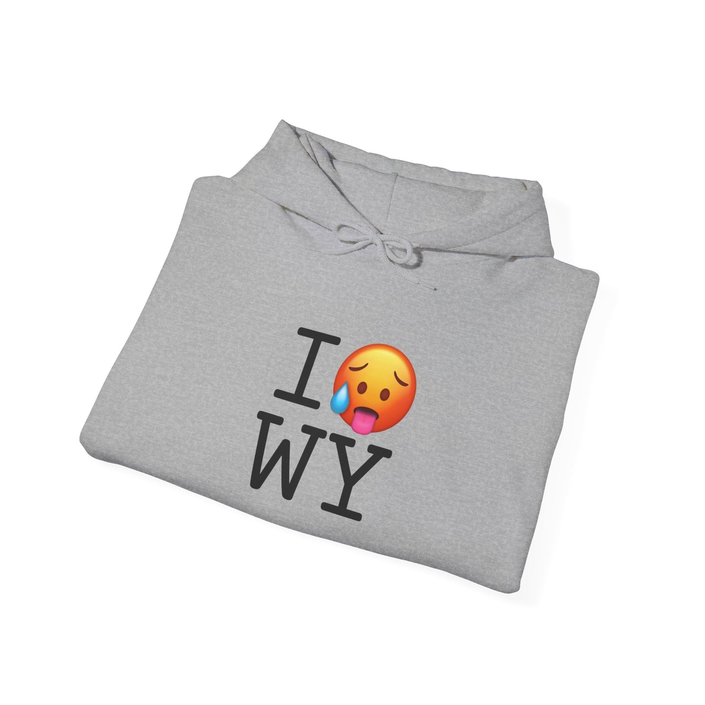 "I'm Hot in Wyoming" Hoodie