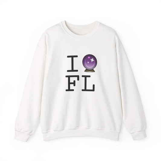 "I Predict the Future (Crystal Ball) of Florida" Sweatshirt