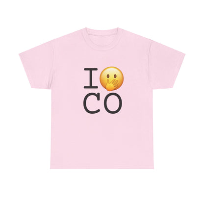 "I Messed Up (Oops) in Colorado" Tee