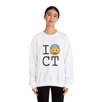 "I'm Anxiously Sweating in Connecticut" Sweatshirt