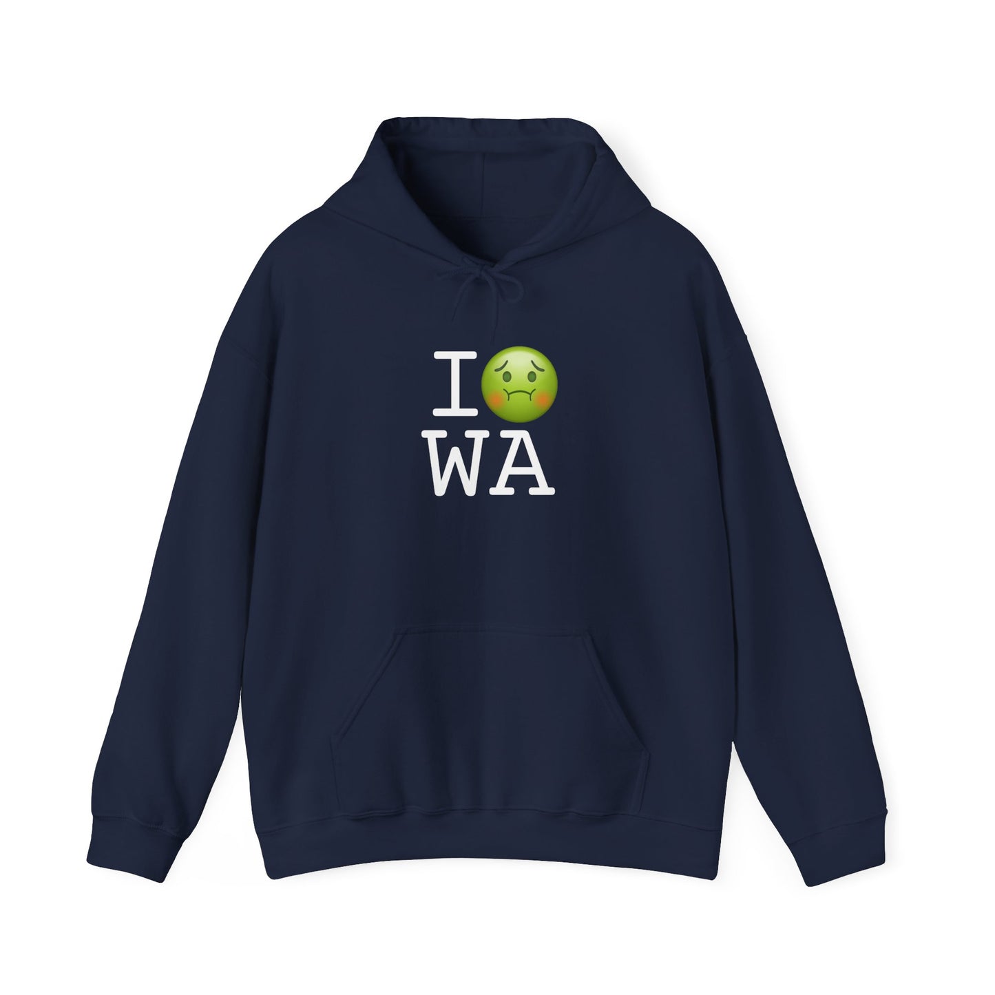 "I'm Nauseous about Washington" Hoodie