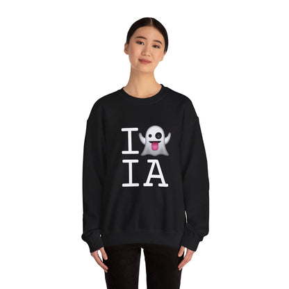 "I'm Ghosting Iowa" Sweatshirt