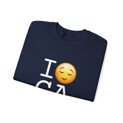 "I'm Relieved about Georgia" Sweatshirt