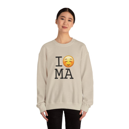 "I Blush at Massachusetts" Sweatshirt