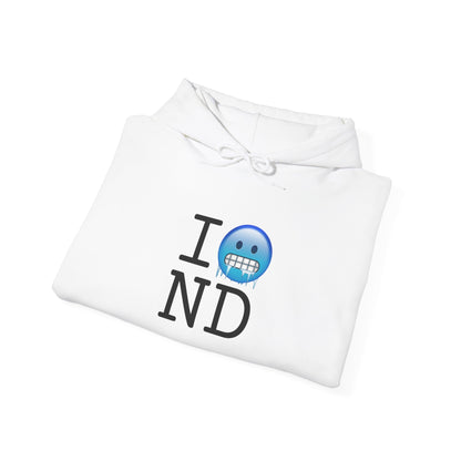 "I'm Cold in North Dakota" Hoodie