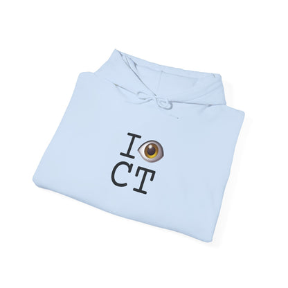 "I See (Eye) Connecticut" Hoodie